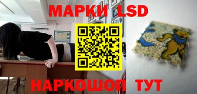 эйфоретик Новокубанск